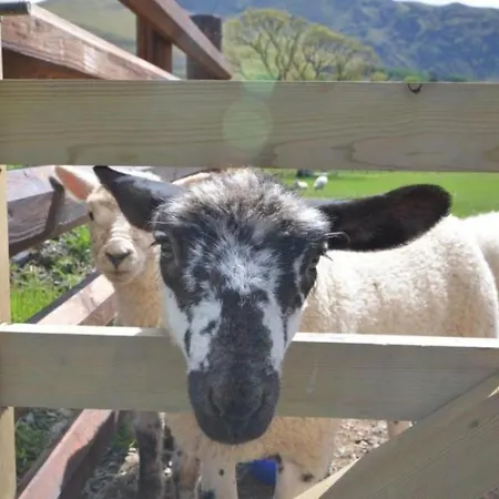 2 Bed In Gamblesby 90415 Сasa de vacaciones Kirkoswald (Cumbria)