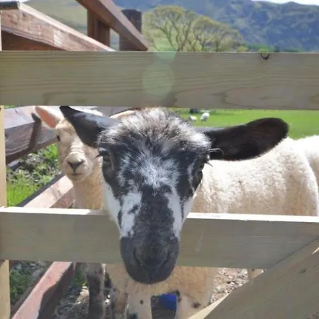 Дом отдыха 2 Bed In Penrith Oc-90415 Kirkoswald (Cumbria)