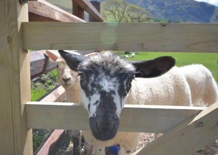 Дом отдыха 2 Bed In Penrith Oc-90415 Kirkoswald (Cumbria)